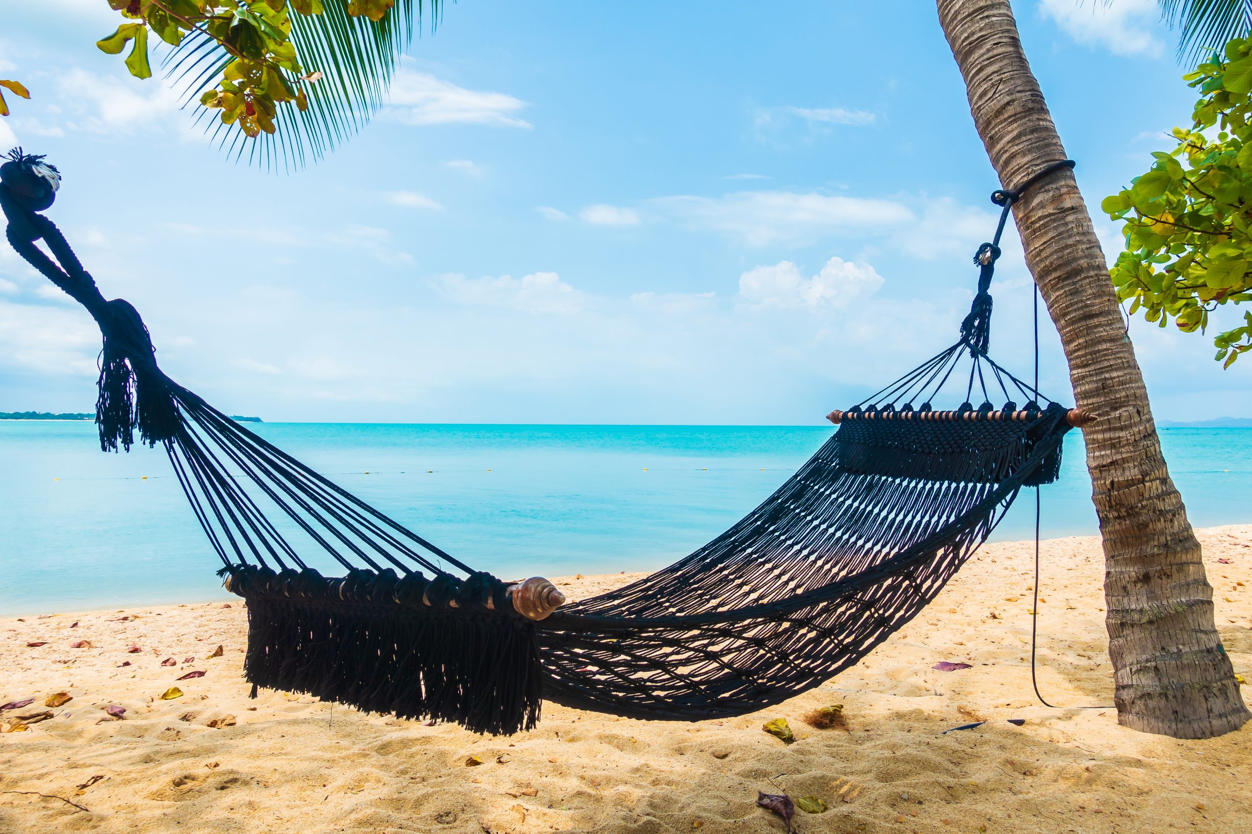 Empty hammock swing around beach sea ocean with white cloud blue